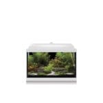 ACUARIO PRO LED 25 L