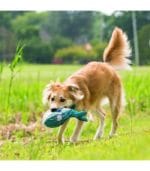 KONG WHALE S - Imagen 3