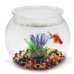 PECERA PLAST 21 CM 4 L.