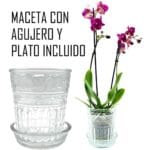 MACETA VIDRIO C/ PLATO ONDAS
