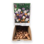 CROCUS MEZCLA 1 UND. CALIBRE 7/8