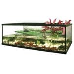 TORTUGUERA FLORIDA 30X15X18