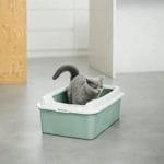 BONNIE CAT LITTER ROTHO VERDE SA - Imagen 2
