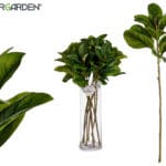 RAMA HOJA VERDE PUNTA