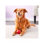 KONG BALLS MEDIUM - Imagen 2