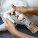 PAWZ DOG BOOTS SPRAY - Imagen 2