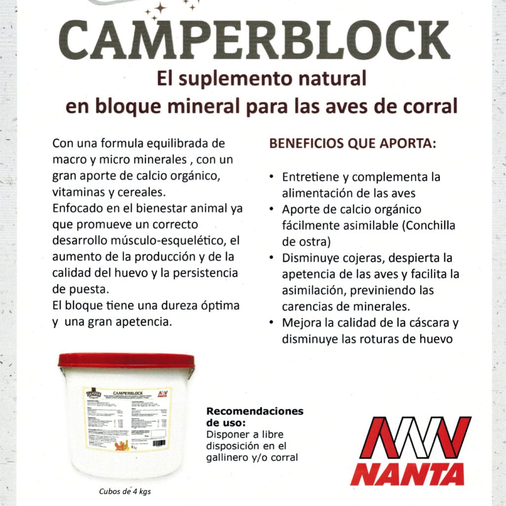 camper 3