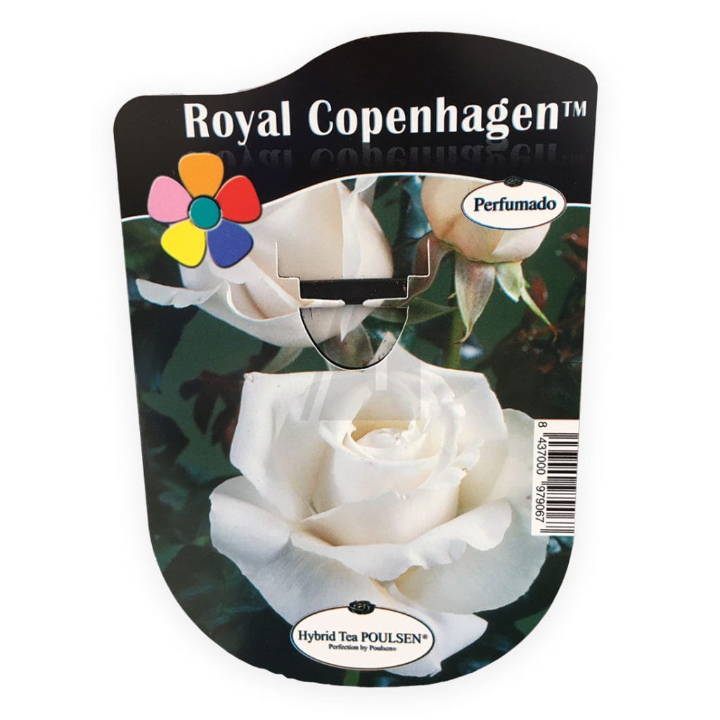 Royal Copenhage