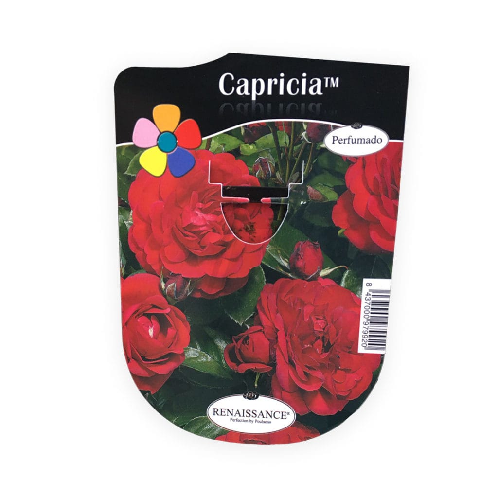 capricia rosal