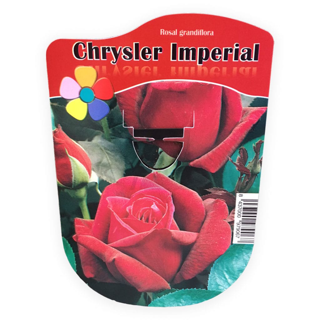 chrysler imperial rosal