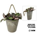 CUBO CUERDA COLGAR C. 20X16X20