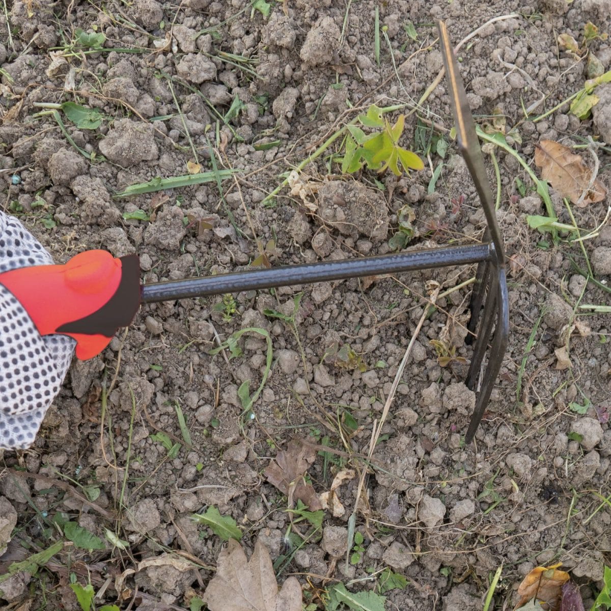 AZUELA Y HORQUILLA P30 - 13" - Imagen 2