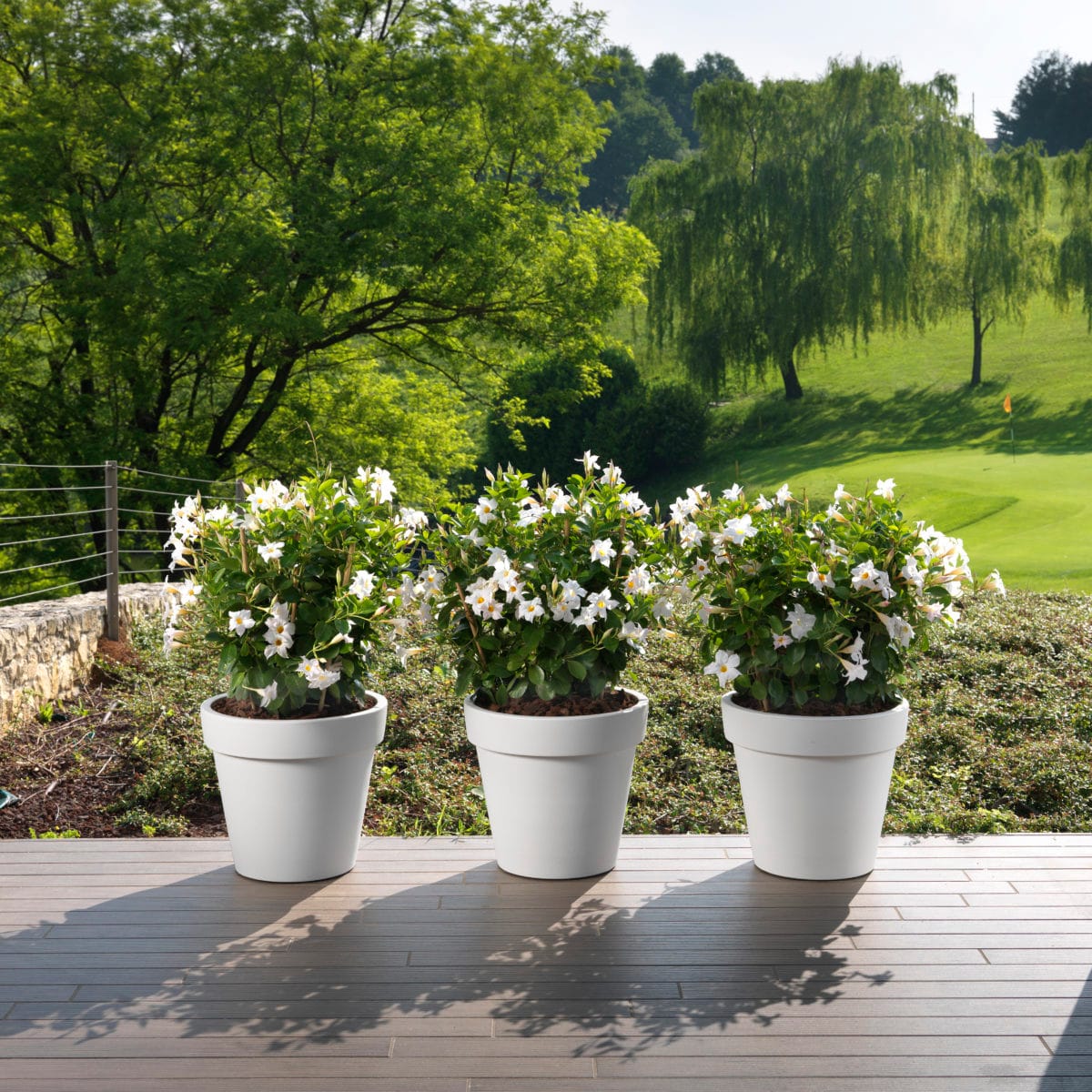 VASO EASY 35 ANTRACITA - Imagen 2