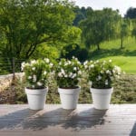 VASO EASY 35 ANTRACITA - Imagen 2