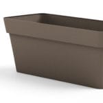 FIORIERA CLEO 60 AVANA