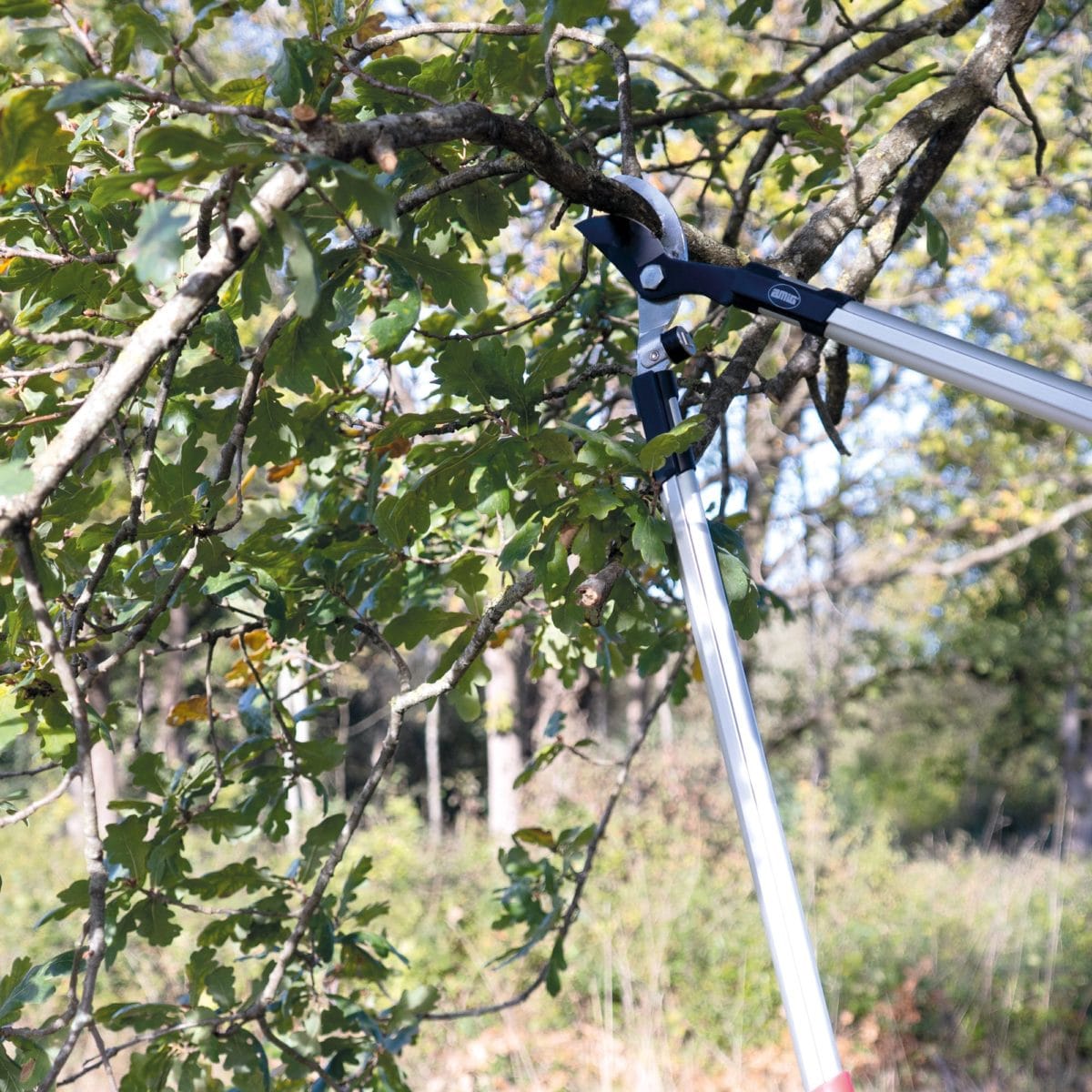 TIJERA PODAR P03 45 CM - Imagen 3