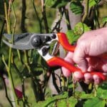 TIJERA PODAR P08 EXTRA -8 1/2" - Imagen 2