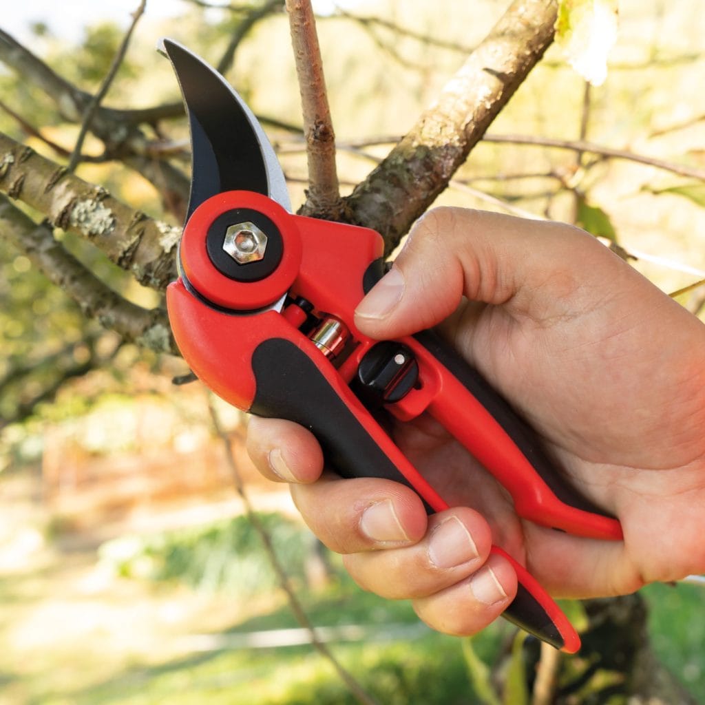 TIJERA DE PODAR P11 U1