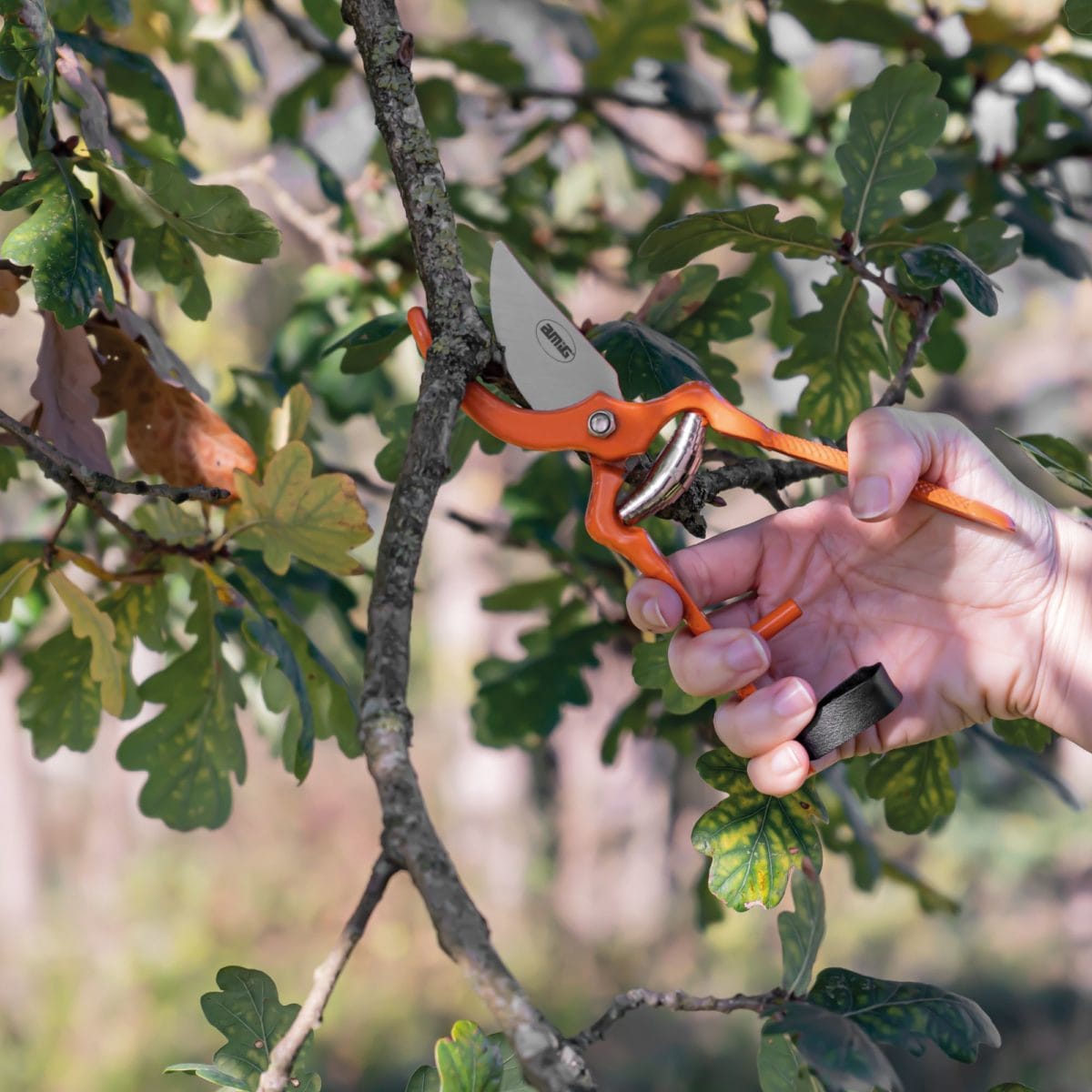 TIJERA PODAR P14 - 21 CM - Imagen 6