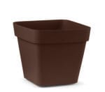 VASO CUADRADO 34 BRONCE CLEO