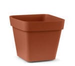 VASO CUADRADO 40 MARRON CLEO