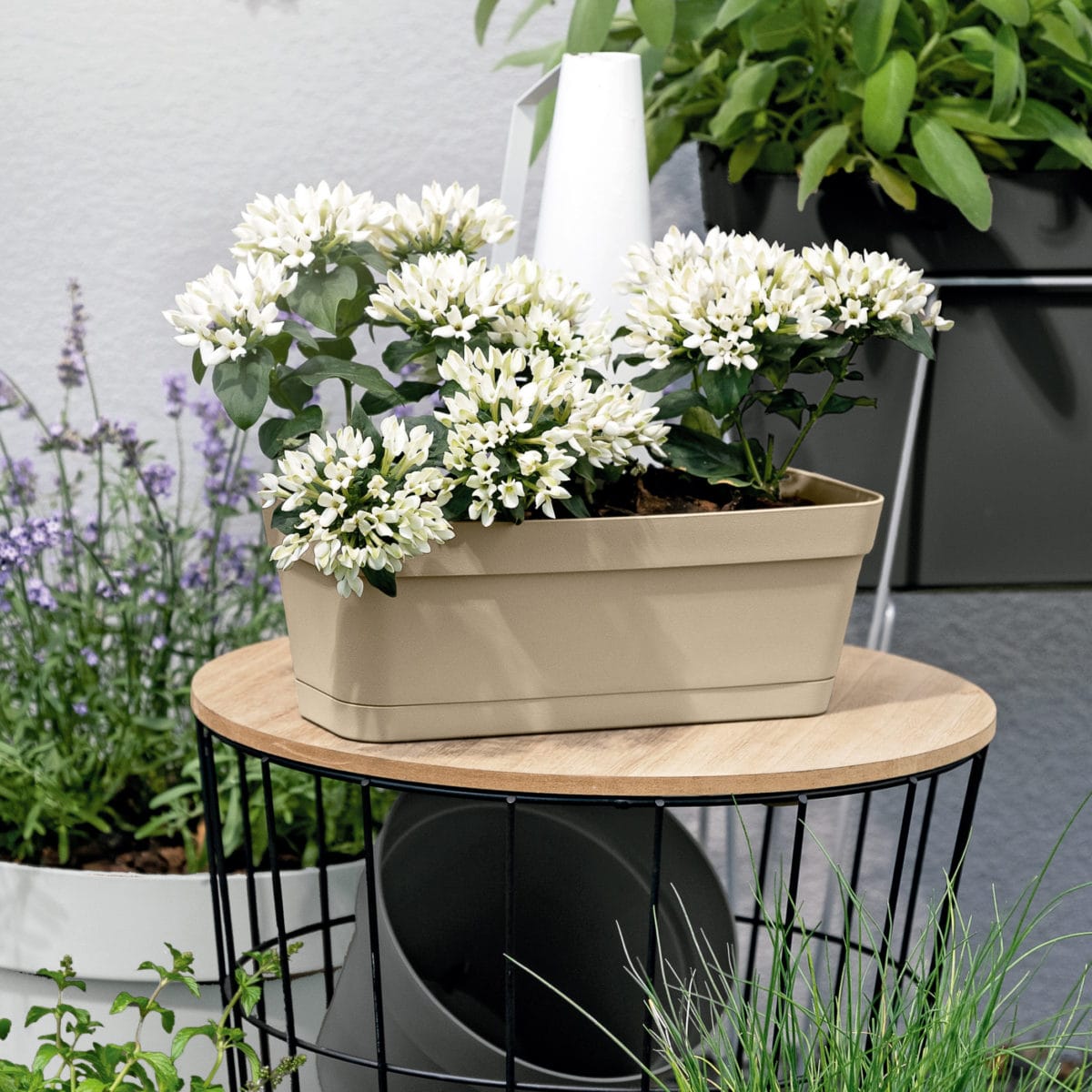 cleo cip JARDINERA CLEO CLIP 30X12 BLANCO - Imagen 2