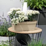 JARDINERA CLEO CLIP 30X12 T. SA - Imagen 2