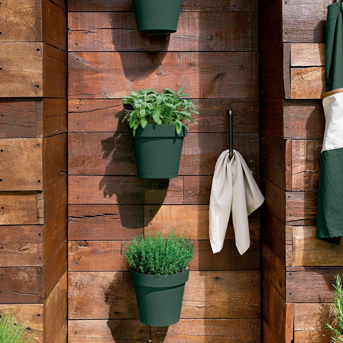 VASO MURO 25 AVANA CLEO - Imagen 2