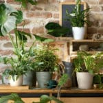 VASO LIVING MATT 21 DEEP BLUE - Imagen 2