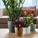 VASO LIVING MATT 21 DEEP BLUE - Imagen 3