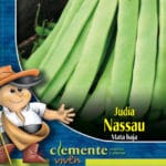 JUDIA NASSAU 250 GRS.