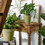 VASO CLEO 30 CM BRONCE - Imagen 2