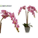 ORQUIDEA LILA M CONICA GRIS 77