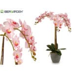 ORQUIDEA ROSA M CONICA GRIS 78