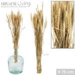 CEBADA NATURAL 100 GRS