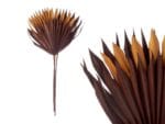 HOJA PALMERA 3PCS MARRON MOSTAZA