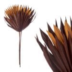 HOJA PALMERA 3PCS MARRON MOSTAZA