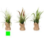 PLANTA BLANCA SACO JUNCO 46 CM