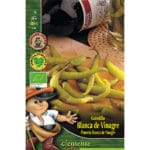 GUINDILLA BLANCA ECOLOGICO