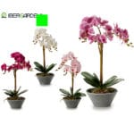 ORQUIDEA M. CONICA BLANCA 58 CM