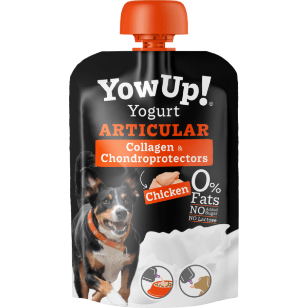 YOWUP YOGUR ARTICULAR 115 GRS