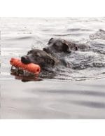 KONG DUMMY L 5X5X58 CM 136 GRS - Imagen 2