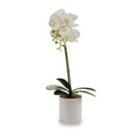 ORQUIDEA M. REDONDA BLANCA 51 CM