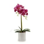 ORQUIDEA M. REDONDA LILA 51 CM