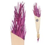 RAMILLETE HOJA PALMERA MORADO