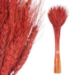 RAMILLETE ESPIGA ROJO 14X9X50 CM