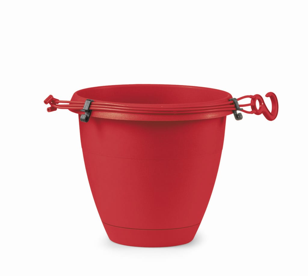 rojo pencile