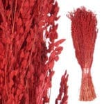 RAMILLETE CENTENO ROJO 15X7X45 C