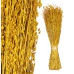 RAMILLETE CENTENO AMARIL 15X7X45