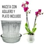 MACETA VIDRIO RAYAS 13X12 CM